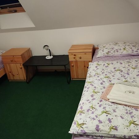 Ubytovani U Nadii Zelezny Brod エクステリア 写真