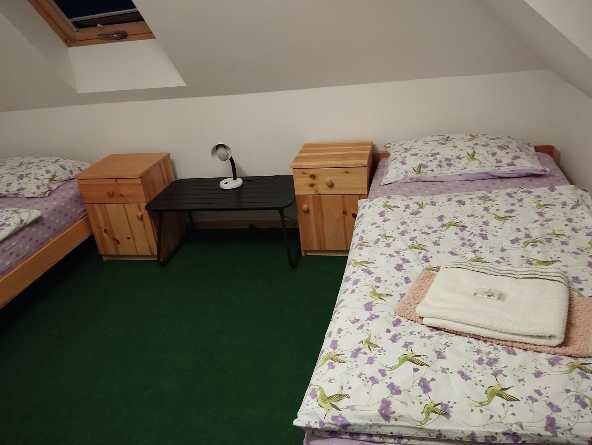 Ubytovani U Nadii Zelezny Brod エクステリア 写真